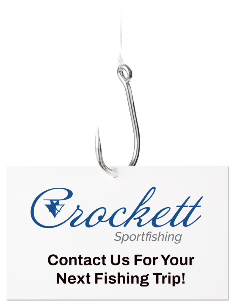 Contact Business Card on Fishing Hook