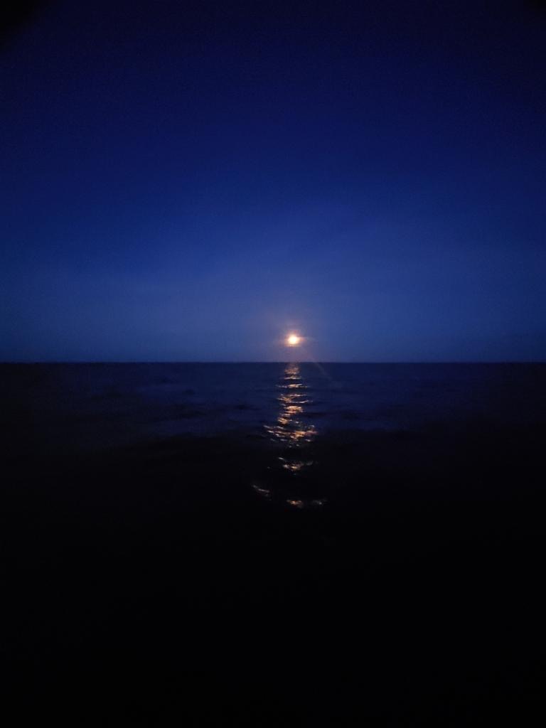Crockett Sportfishing Gallery Moonlight on the Sea